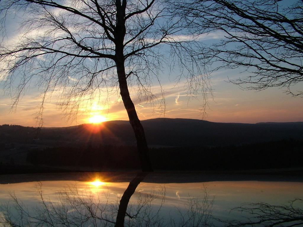 Orea Resort Devet Skal Vysocina Sněžné المظهر الخارجي الصورة