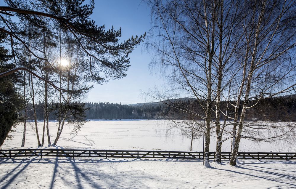 Orea Resort Devet Skal Vysocina Sněžné المظهر الخارجي الصورة